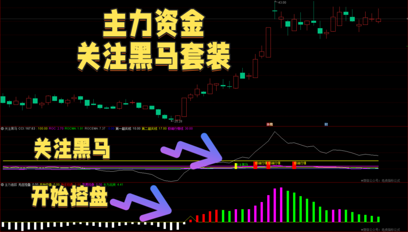 【VIP专享】通达信跟踪主力资金关注黑马【副图|选股】套装指标，量价捕捉牛股启动点-我爱指标网