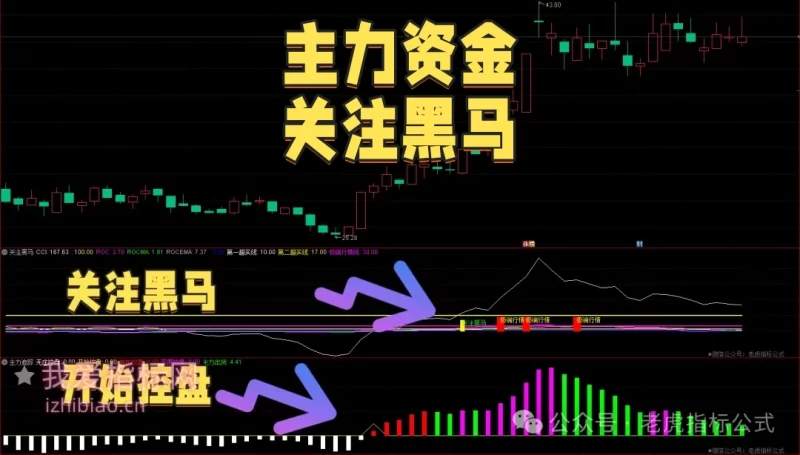 【会员指标】通达信跟踪主力资金关注黑马【副图|选股】套装指标-我爱指标网
