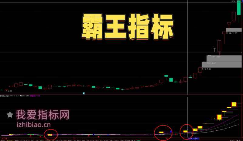 【免费指标】强势启动机会和二次回踩机会：通达信【霸王追涨】副图指标——趋势追涨利器！-我爱指标网