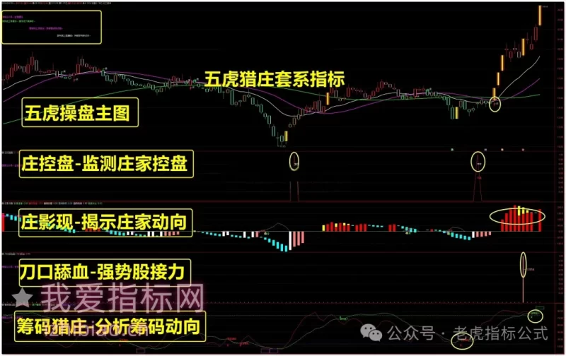 【会员指标】通达信五虎猎庄【主图|副图|选股】套系指标,综合擒庄策略-我爱指标网