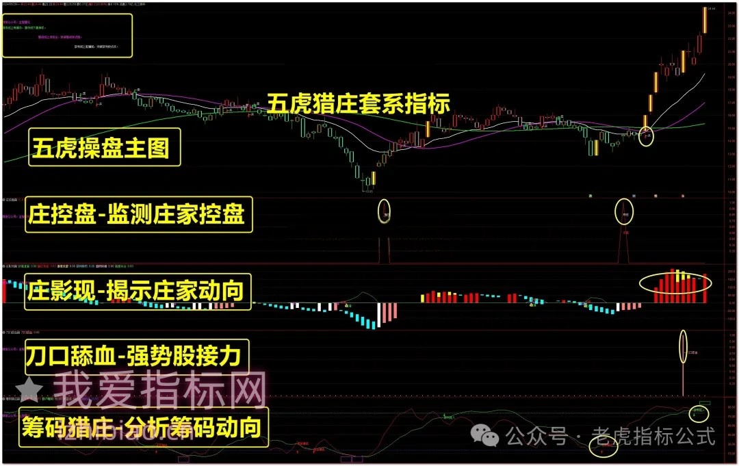 【会员指标】通达信五虎猎庄【主图|副图|选股】套系指标，综合擒庄策略-我爱指标网