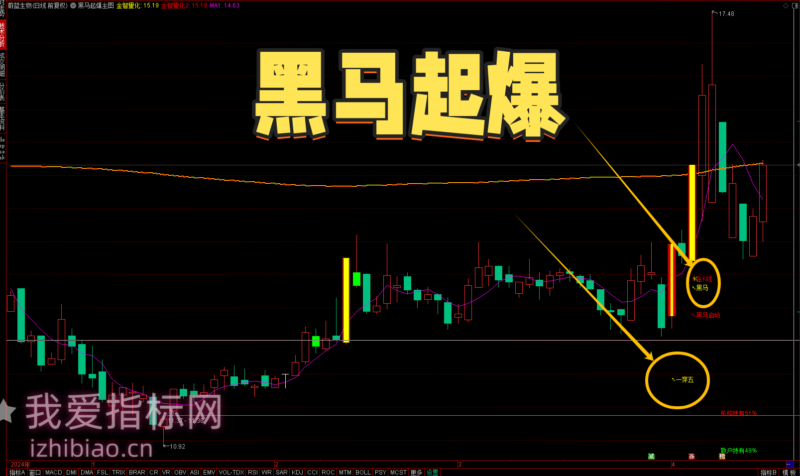 【免费指标】放量大阳线与抄底时机，黑马起爆套装指标带你提前布局大黑马-我爱指标网