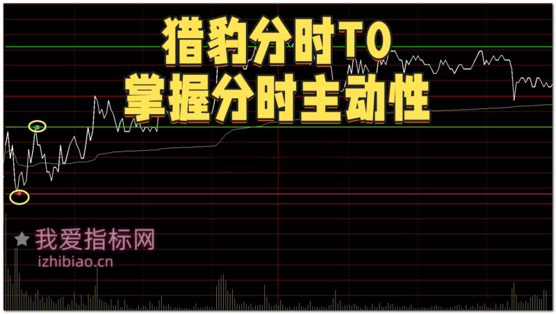 【免费指标】通达信猎豹分时T0【分时主图】指标，闪电狙击决胜分时-我爱指标网