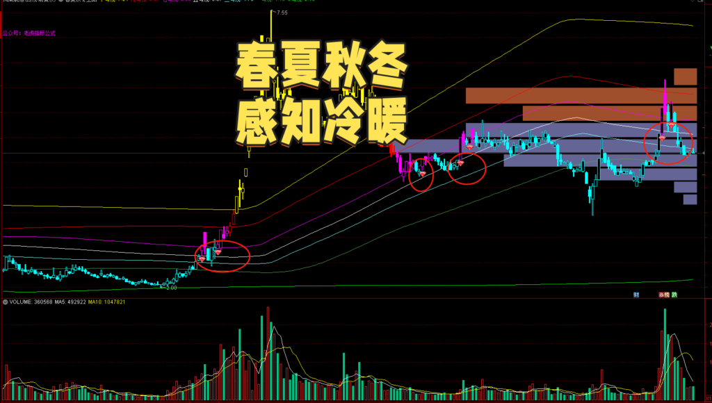 图片[1]-【免费指标】通达信春夏秋冬【主图|选股】指标，感知冷暖交易无忧-我爱指标网